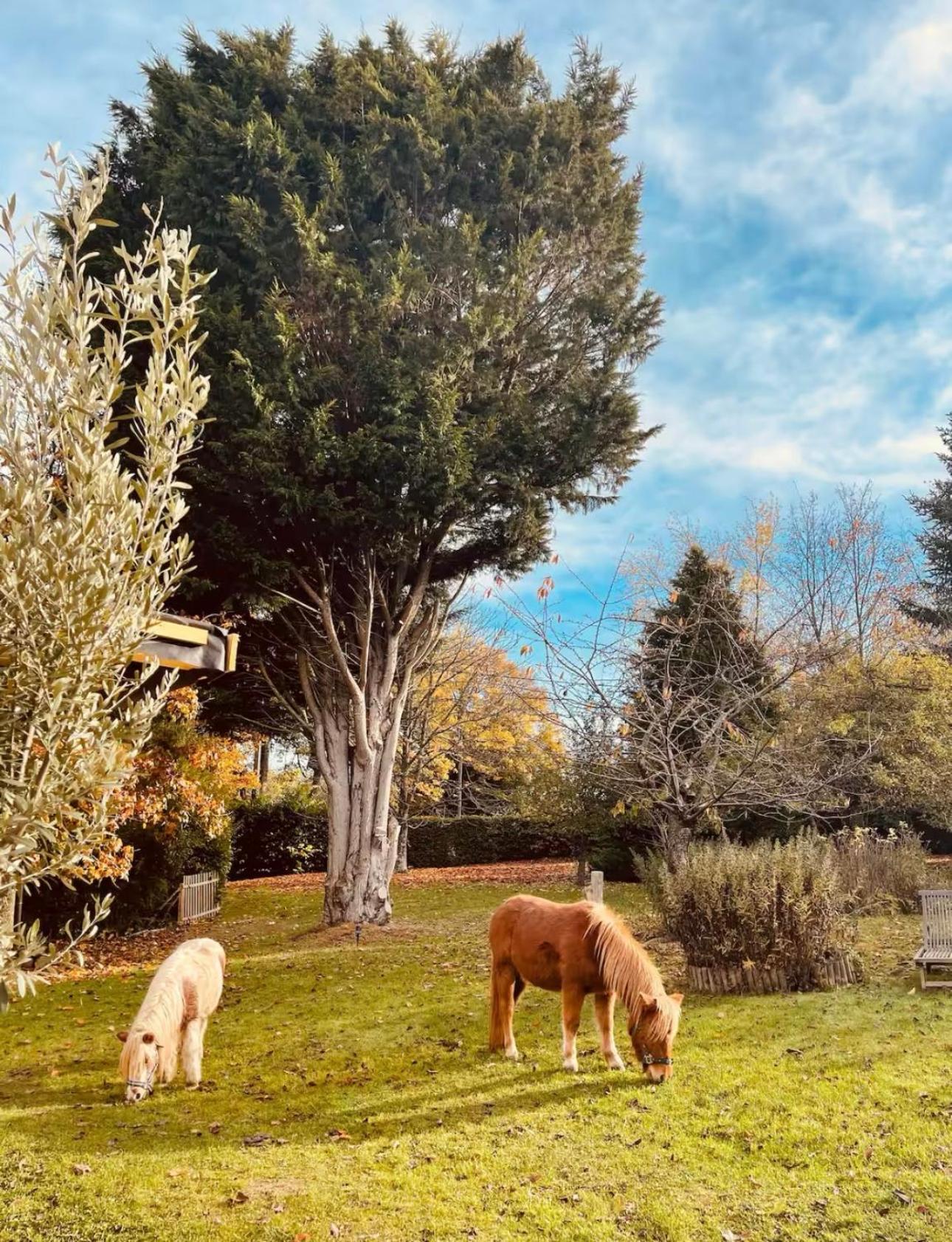 Cottage Normand Avec Sa Grande Piscine Chauffee Toute L Annee Sur Parc Arbore Et Clos En Plein Coeur De La Campagne Adapte Aux Kids Et Dog Friendly Saint-Antonin-de-Sommaire Kültér fotó